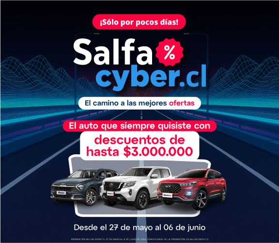 Salfa Cyber